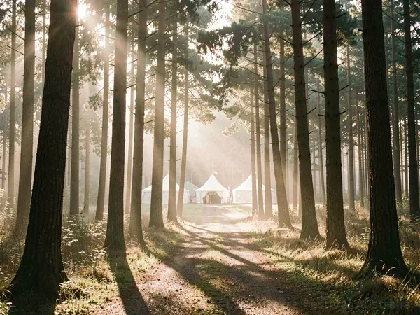 Scene General Forest Path at Taste of Love Tantra Festival